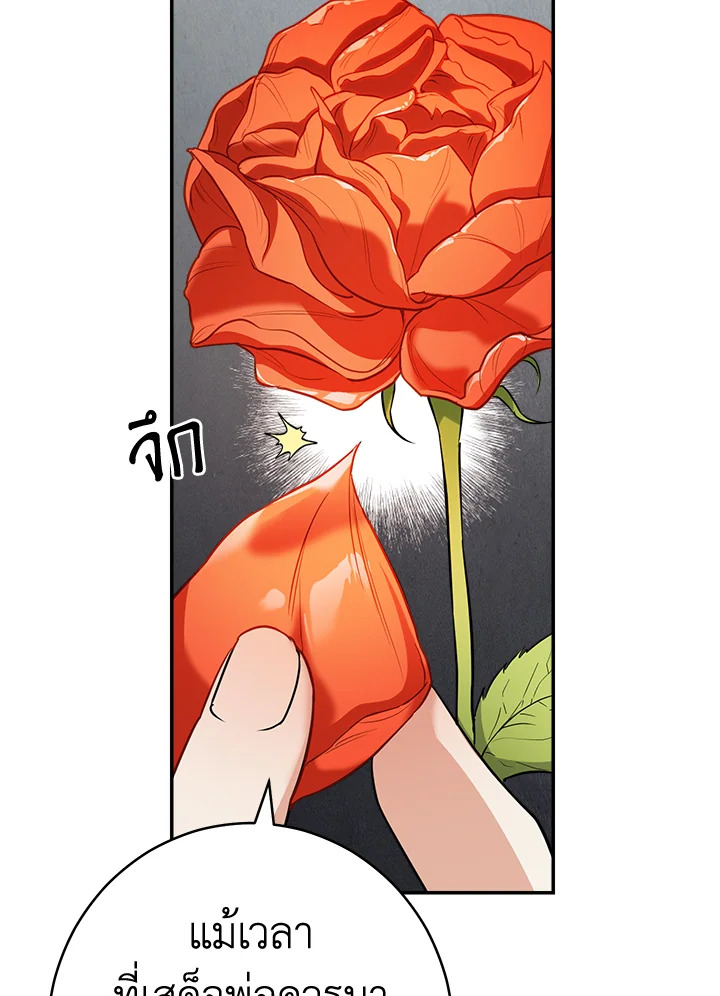 Marriage of Convenience 26 049